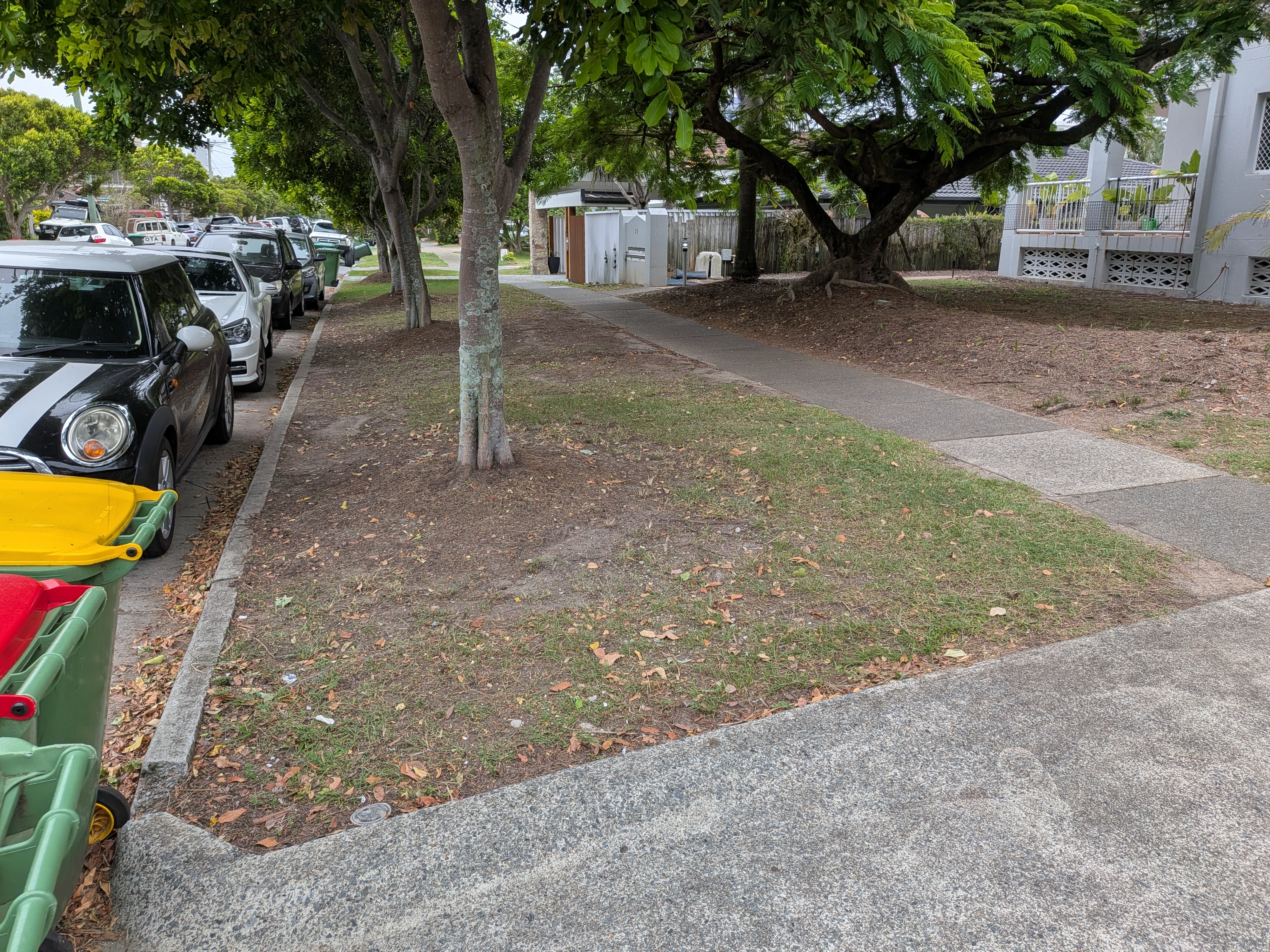 Landscape before design