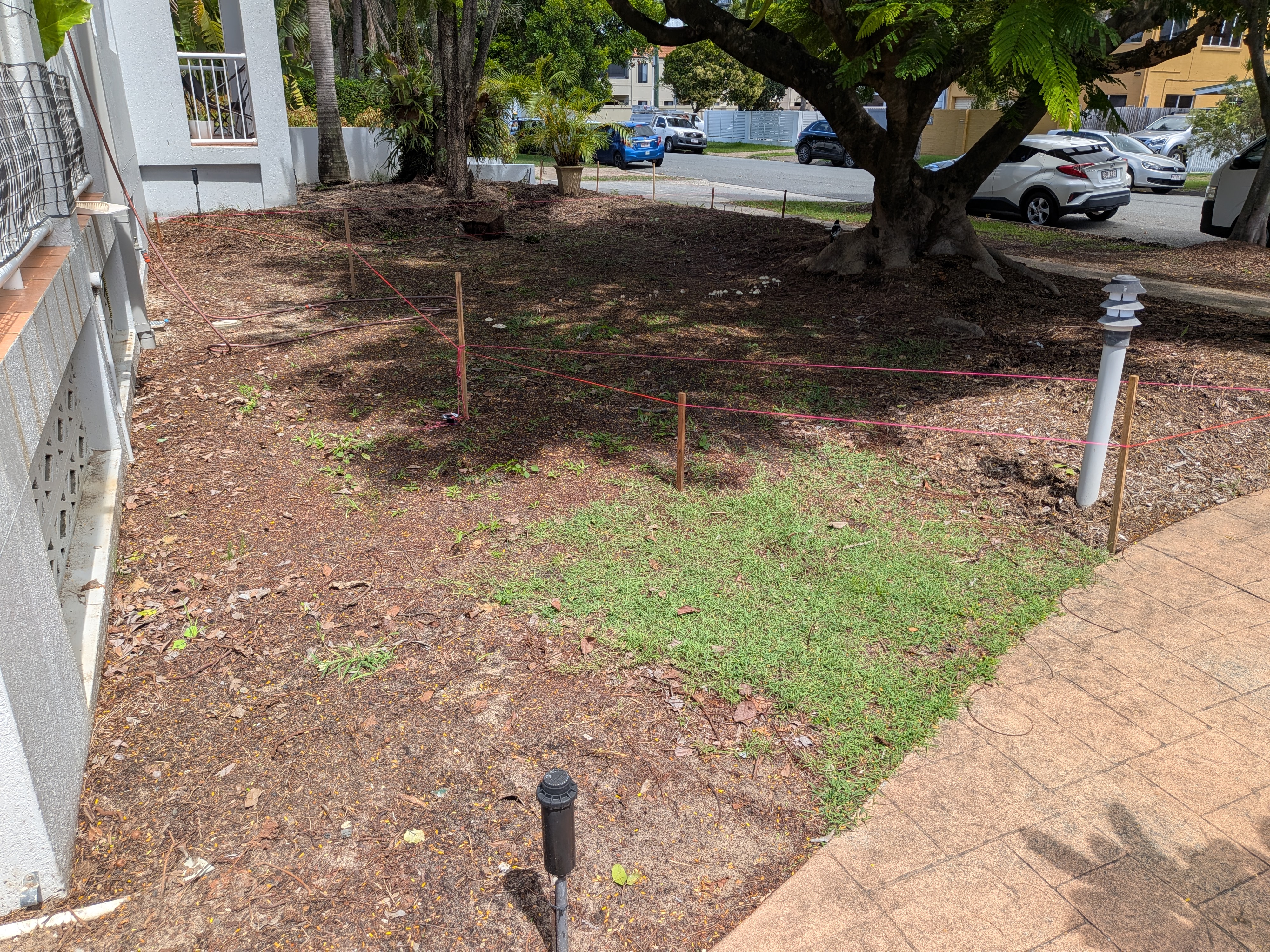 Garden layout before design